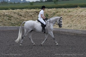 ISIS Dressage Challenge 2008